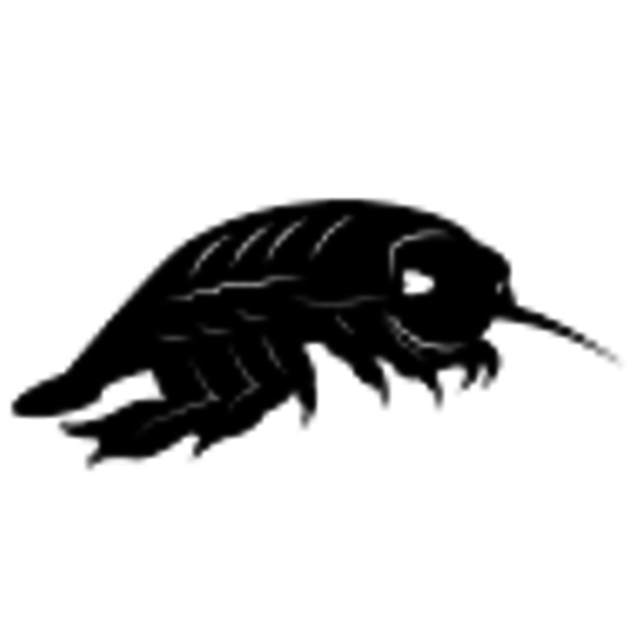 Profile Picture of Jose Herrera (@jherrera4953) on Poshmark