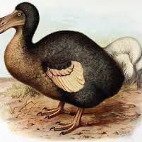 Profile Picture of Robert Hodgson (@tripsy76) on Tiktok