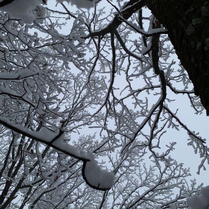 Seth Meyer - Tiktok Profile Picture of Seth Meyer (@@sethmeyer9) on Tiktok