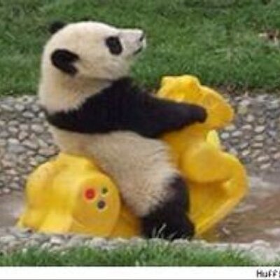 Profile Picture of Nick Busby (@busby_nick) on Twitter