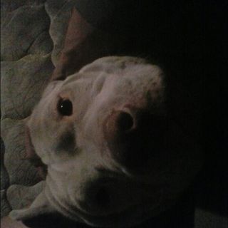 Toby Brazier - Facebook Profile Picture of Toby Brazier (@toby.brazier.1) on Facebook