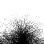 Profile Picture of Ahmed Naji (@a.naji) on Flickr