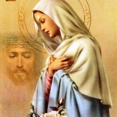 Profile Picture of Rosa Bárcenas Trinidad (@RosaBarrerasTr1) on Twitter