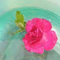 Profile Picture of Maneesha Sodanapalli (@maneesha-sodanapalli) on Quora