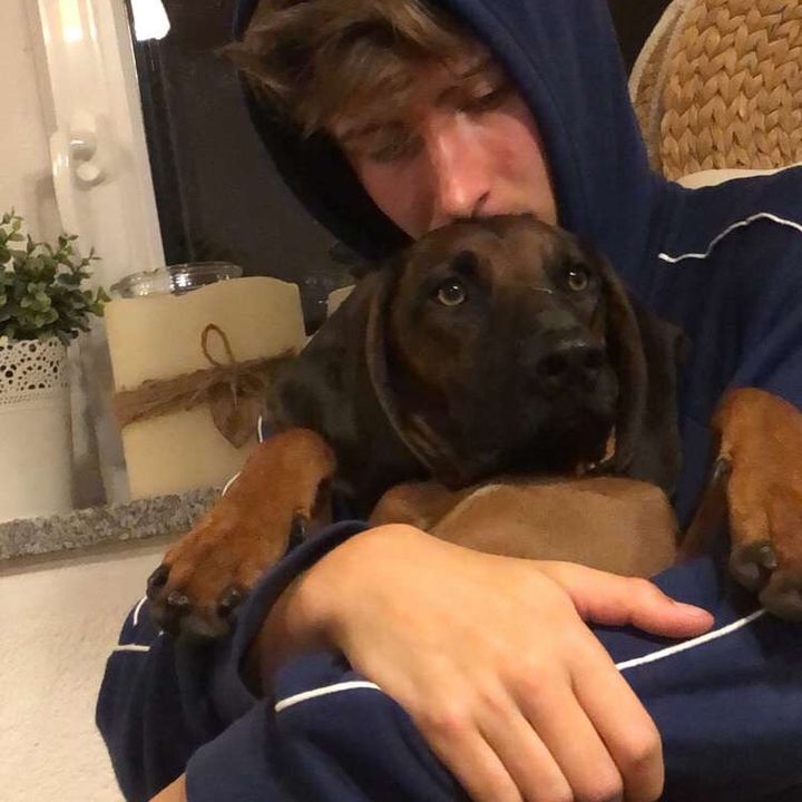 Profile Picture of Michael Ende (@michaelende) on Tiktok