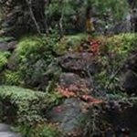 Profile Picture of Diane  sitkiewicz (@dianesitkiewicz) on Instagram