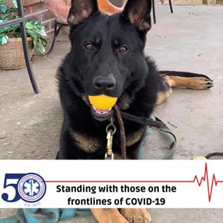 Profile Picture of Richard Willrich (@richard.willrich.315) on Facebook