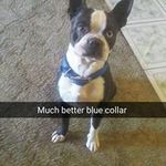 Profile Picture of Nicholas Lindsey (@nicholas.lindsey.92) on Instagram