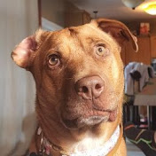 Profile Picture of Michael Akers (@michaelakers7098) on Youtube