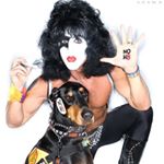 Profile Picture of Steve Mitchell (@chippenpaul) on Instagram