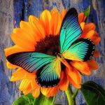 Tanya Bailey - Instagram Profile Picture of Tanya Bailey (@tanya.bailey.7583) on Instagram