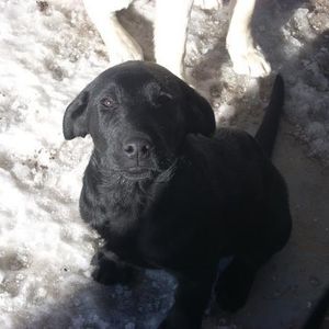 Profile Picture of Michael Winningham (@michaelwinningham) on Myspace