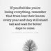 Profile Picture of Devid Joseph (@devid.joseph.372) on Facebook