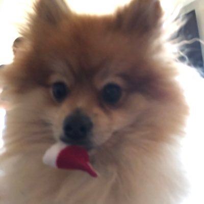 Profile Picture of Doug (@Tiffany86278172) on Twitter