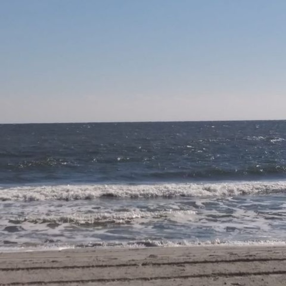 Jj Krulikowski - Poshmark Profile Picture of Jj Krulikowski (@krulikowskijohn) on Poshmark