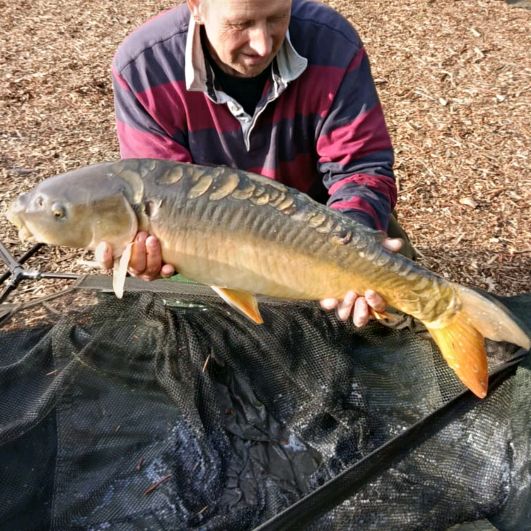 Profile Picture of Richard Billington (@richard.billingto) on Tiktok