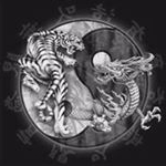 Profile Picture of Wexford Five Thunder Dim Mak (@michaelgilhooly) on Instagram