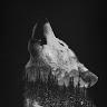 Profile Picture of Jeremy Wolter (@@jeremywolter8) on Tiktok