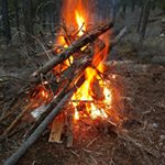 Profile Picture of Bob Gardner (@robertbeable) on Instagram