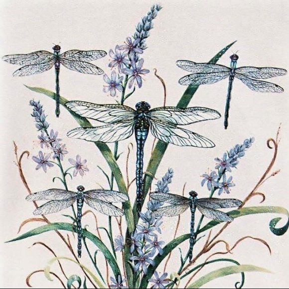 Profile Picture of Maureen Stumpf (@dragonfly102) on Poshmark