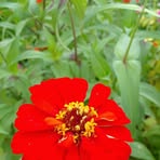 Profile Picture of Dinah Palmer (@Dinah-Palmer) on Facebook