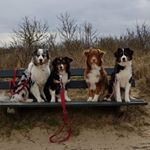 Iris Maier - Instagram Profile Picture of Iris Maier (@maier_iris_) on Instagram