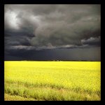 Profile Picture of David Fannon (@dlnormedic) on Instagram