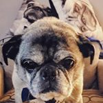 Profile Picture of Max (@maxgwins) on Instagram