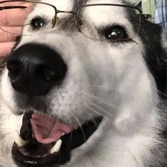 Profile Picture of sethbear473 (@sethbear473) on Tiktok