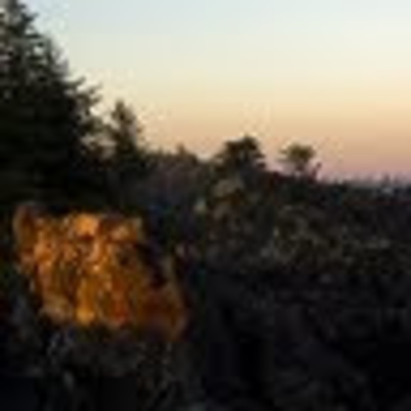 Profile Picture of Bakster Bakster (@bbakster65) on Poshmark