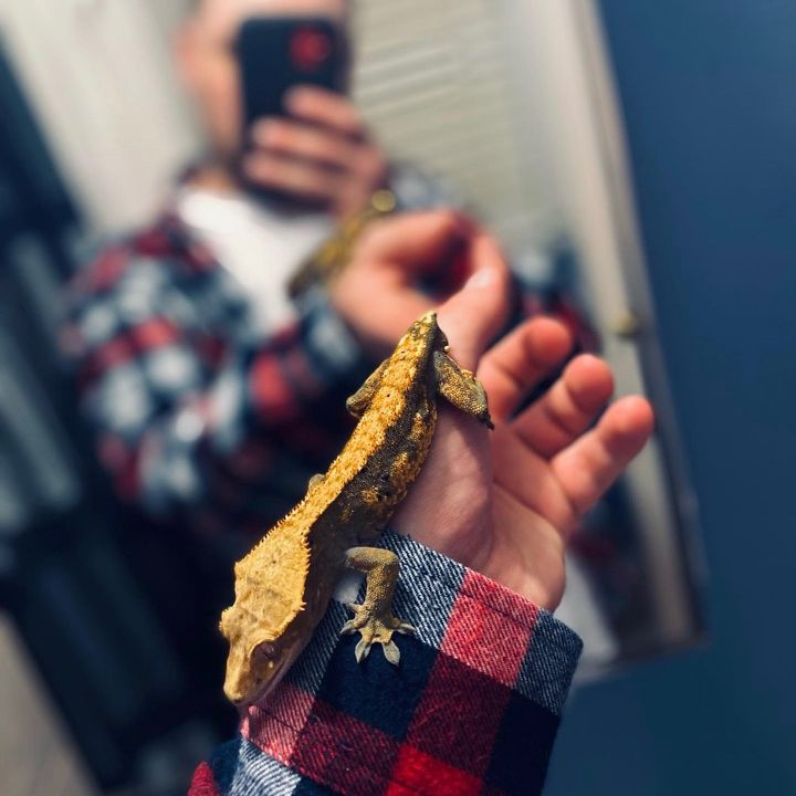 Profile Picture of DustinCristo (@dustincristo) on Tiktok