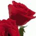Profile Picture of Anna Singh (@anna.singh.9256) on Facebook