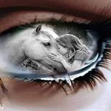 Profile Picture of Alonso Enríquez (@alonsoeq18) on Twitter