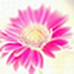 Profile Picture of Trieuone (@trieuone) on Flickr