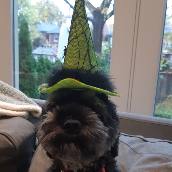 Profile Picture of Angela Newbery (@newbery4) on Poshmark