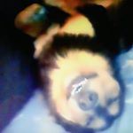 Profile Picture of Doug Bradly Bane (@douglesbane15) on Instagram