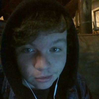 Profile Picture of Seth Chappell (@TheSpiderYT) on Twitter