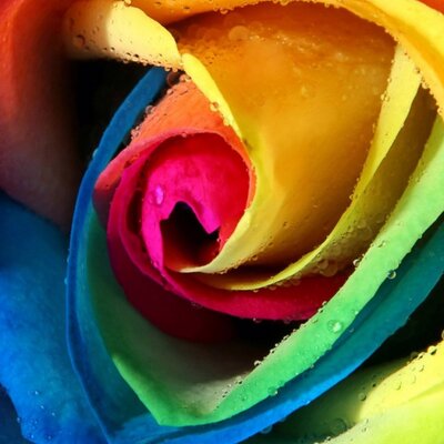 Lynette Parker - Twitter Profile Picture of Lynette Parker (@ParkerWemwitch) on Twitter