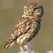Profile Picture of Robert Pothier (@pothier1019) on Pinterest
