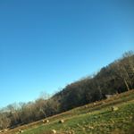 Profile Picture of Steven Judge (@crazy_woods07) on Instagram