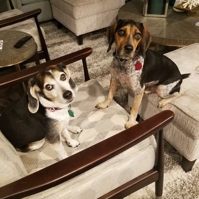 Profile Picture of Michael Palo (@olapekim) on Twitter