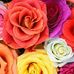 Profile Picture of Faheem Abdullah (@faheem.abdullah.98) on Facebook