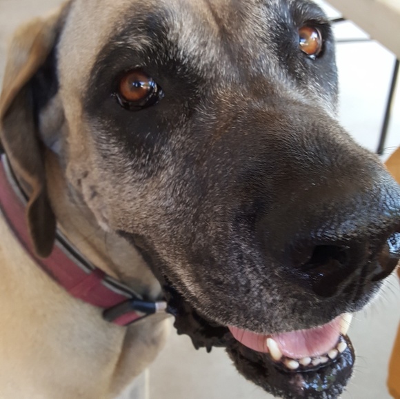 Profile Picture of Paula Cottle (@pjgs) on Poshmark