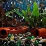 Profile Picture of Zeynel Ataş (@obir_adam_delisine_6336) on Instagram