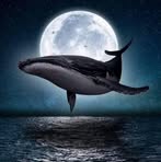 Profile Picture of Dariel Hidalgo (@dariel.hidalgo.52) on Facebook