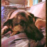 Profile Picture of Chris (@chrisdearth9) on Instagram