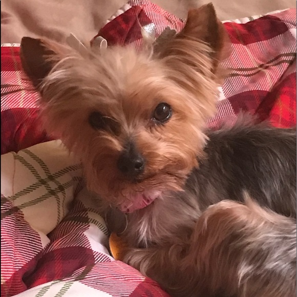 Profile Picture of Terry Hammond (@vol435) on Poshmark