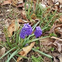 Profile Picture of Mindy Robertson (@mindy-robertson-1) on Quora