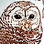 Elliott Marshall - Flickr Profile Picture of Elliott Marshall (@kid_ello) on Flickr