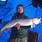 Profile Picture of Kyle Oldach (@kyledome) on Instagram